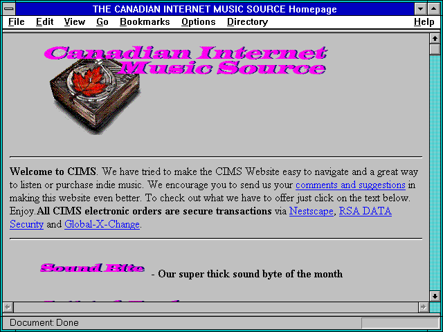 Screenshot of Network Support Inc.