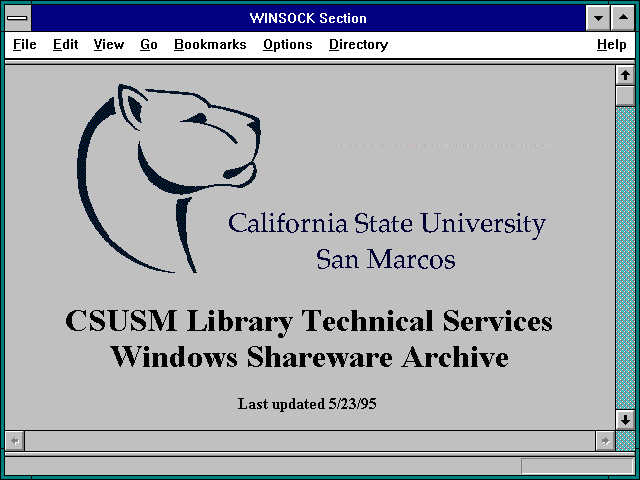 Screenshot of WINSOCK Section