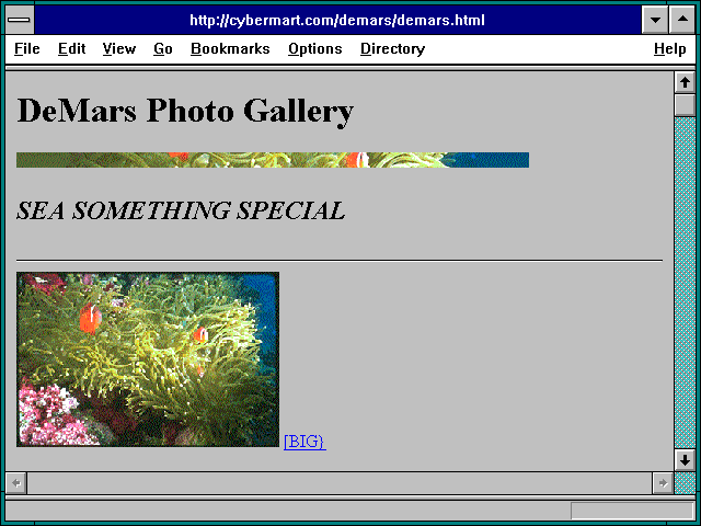 Screenshot of http://cybermart.com/demars/demars.html