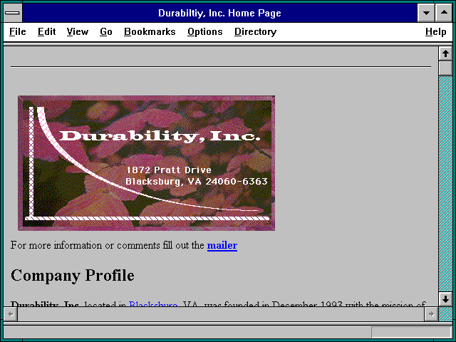 Screenshot of Durabiltiy Inc. Home Page