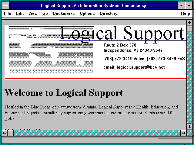 Screenshot of Logical Support: An Information Systems Consultancy