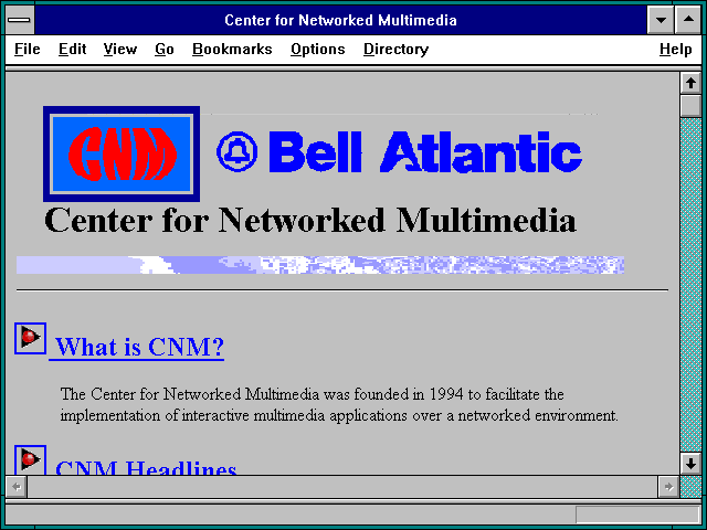 Screenshot of Center for Networked Multimedia