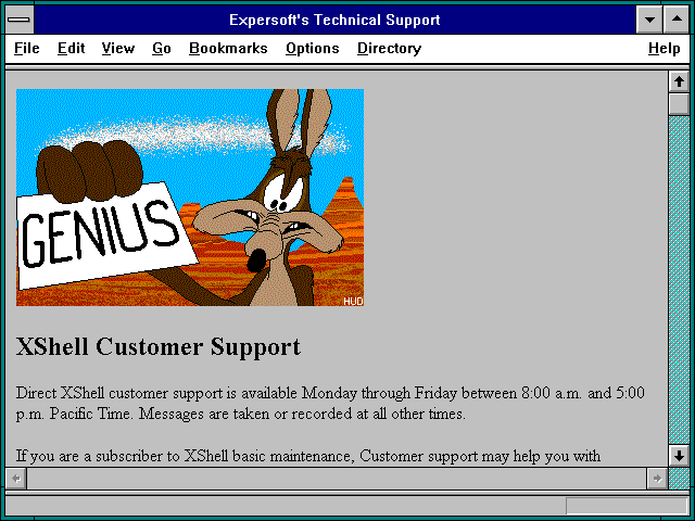 Screenshot of Expersoft Corporation