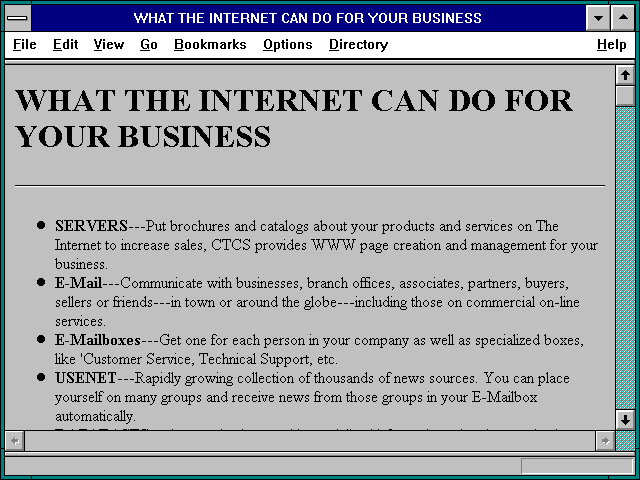 Screenshot of WHAT THE INTERNET CAN DO FOR YOUR BUSINESS