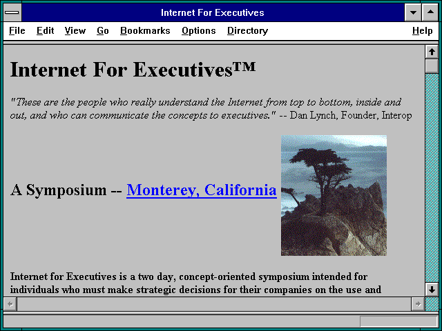Screenshot of Internet For Executives