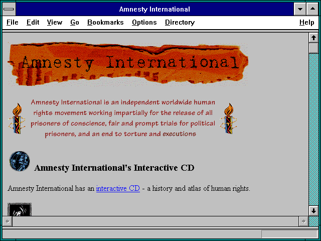 Screenshot of Amnesty International