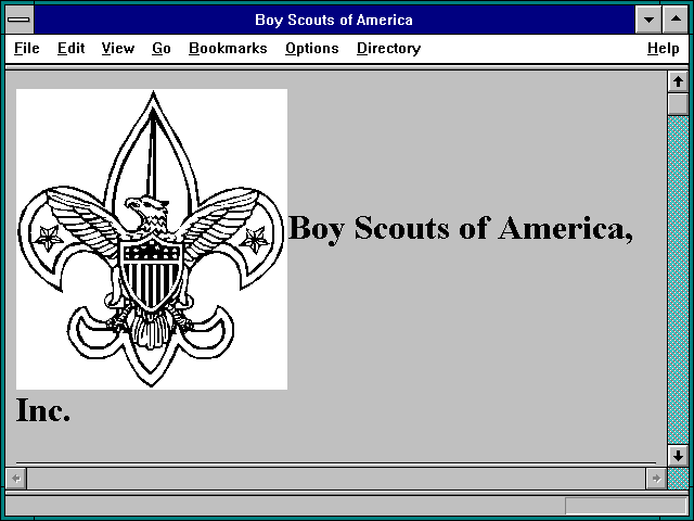 Screenshot of Boy Scouts of America