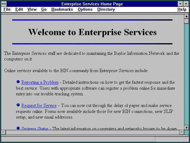 Screenshot of Enterprise Services Home Page