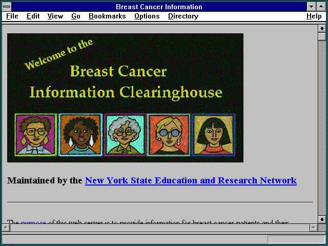Screenshot of NYSERNet.
