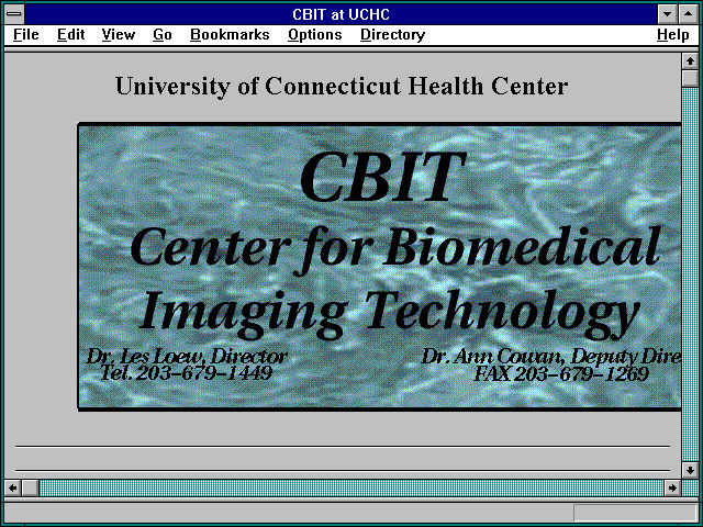 Screenshot of CBIT at UCHC