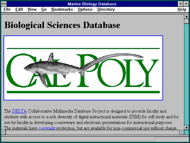 Screenshot of Marine Biology Database
