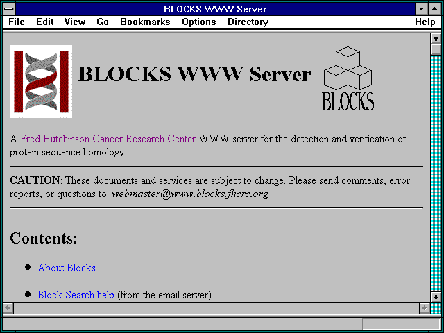 Screenshot of BLOCKS WWW Server