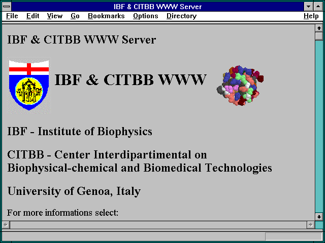 Screenshot of IBF & CITBB WWW Server
