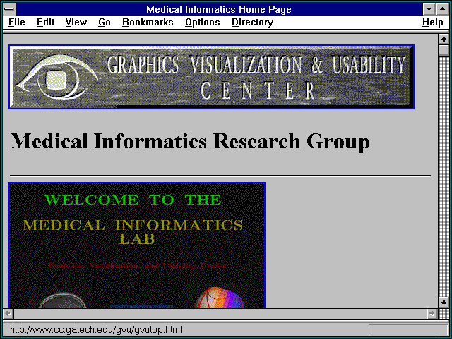 Screenshot of Medical Informatics Home Page