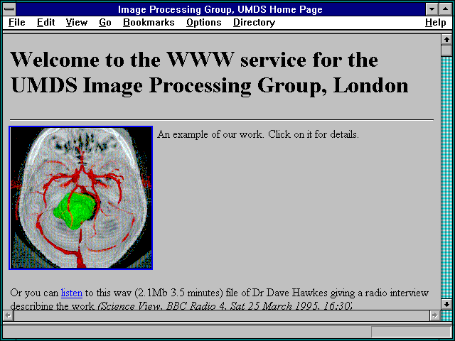 Screenshot of Image Processing Group UMDS Home Page
