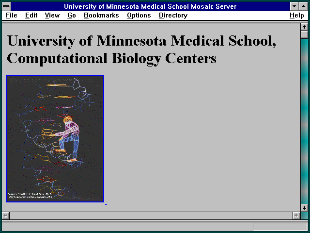 Screenshot of University of Minnesota Medical School Mosaic Server