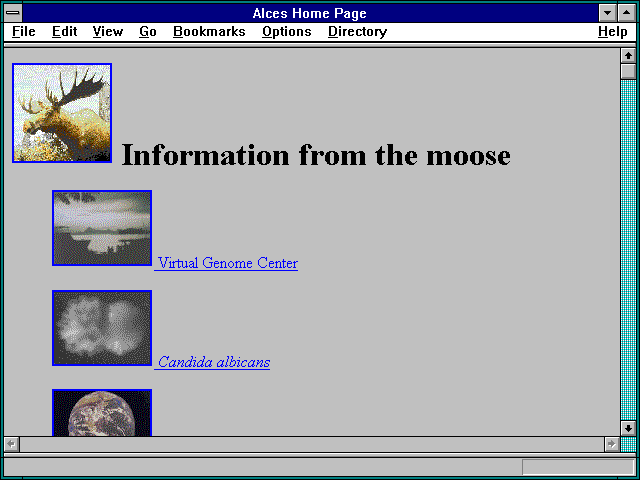 Screenshot of Alces Home Page