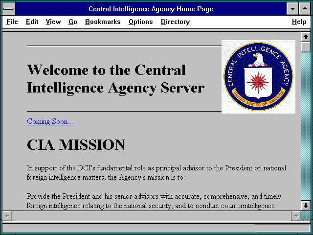 Screenshot of 1994 World Factbook: Afghanistan (U.S. CIA)
