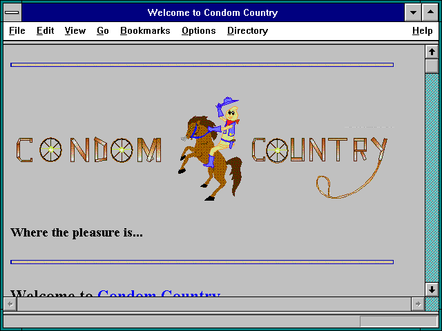 Screenshot of Welcome to Condom Country