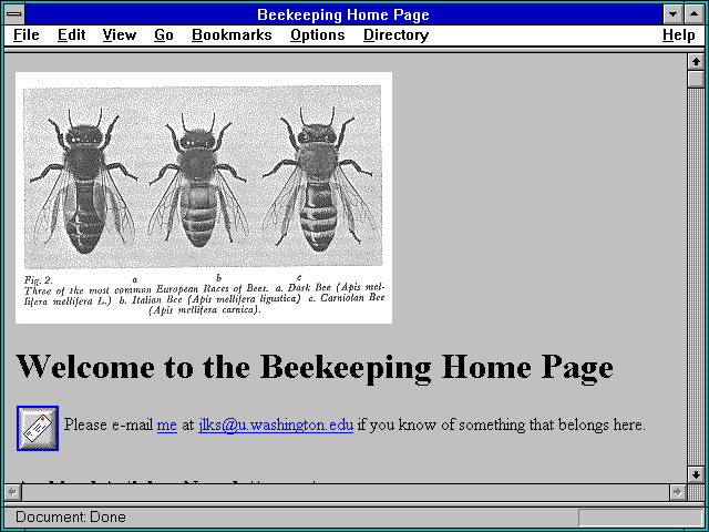 Screenshot of James' Jodie Foster Page