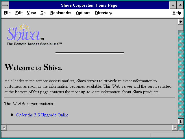 Screenshot of Shiva Corporation Home Page