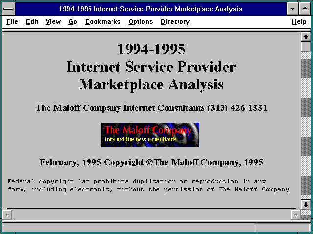 Screenshot of 1994-1995 Internet Service Provider Marketplace Analysis