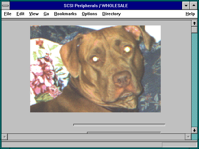 Screenshot of SCSI Peripherals / WHOLESALE