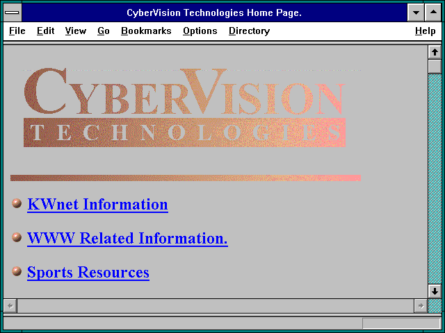 Screenshot of CyberVision Technologies Home Page.