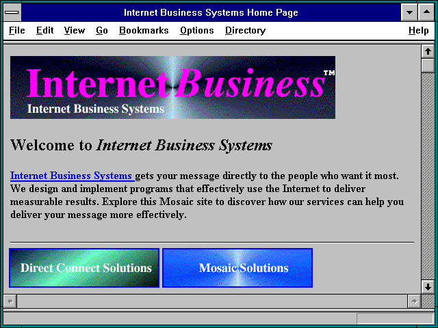 Screenshot of Internet Business Systems Home Page