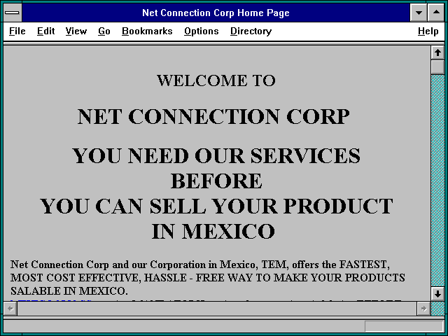 Screenshot of Net Connection Corp Home Page