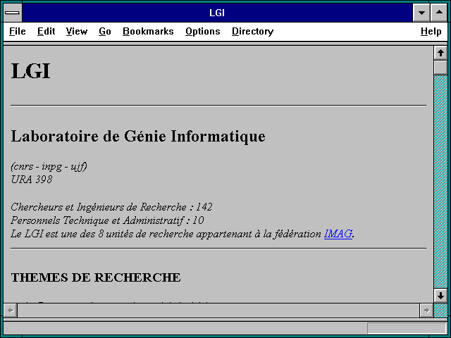 Screenshot of lgi.imag.fr