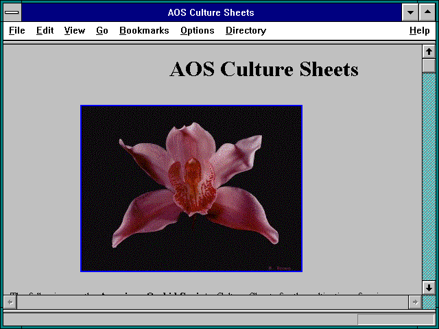 Screenshot of AOS Culture Sheets