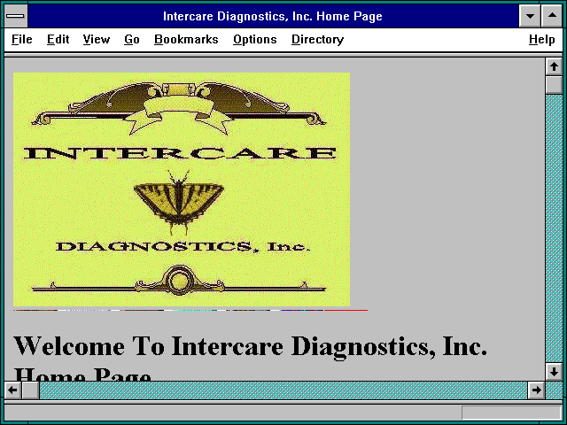 Screenshot of Intercare Diagnostics Inc. Home Page