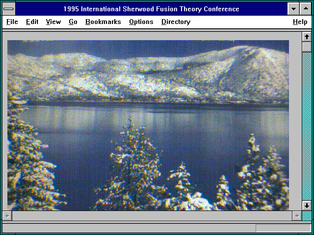 Screenshot of 1995 International Sherwood Fusion Theory Conference
