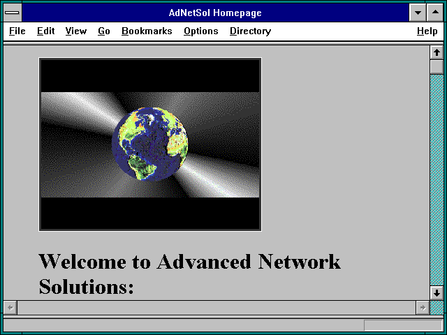 Screenshot of AdNetSol Homepage