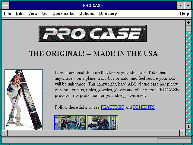 Screenshot of PRO CASE