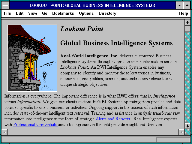 Screenshot of LOOKOUT POINT: GLOBAL BUSINESS INTELLIGENCE SYSTEMS