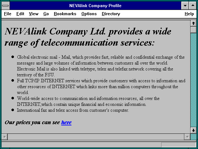 Screenshot of NEVAlink Company Profile
