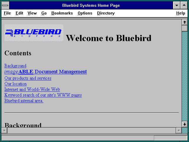 Screenshot of Bluebird Systems Home Page