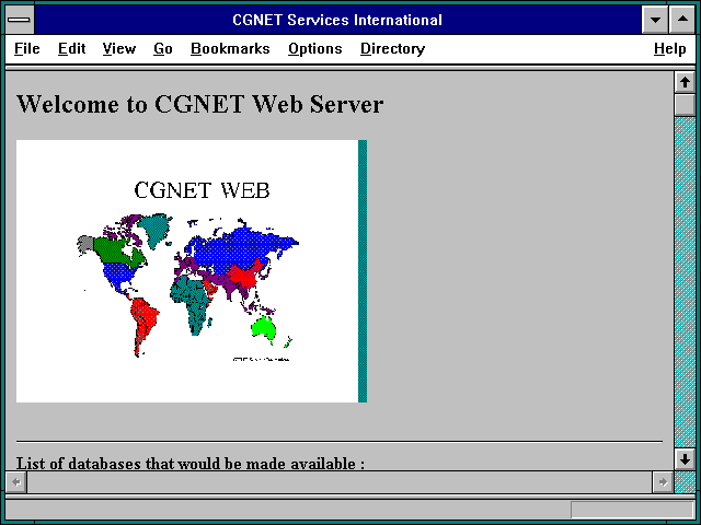 Screenshot of CGNET Services International
