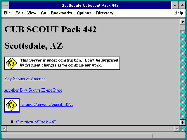 Screenshot of Flag-Burning Page