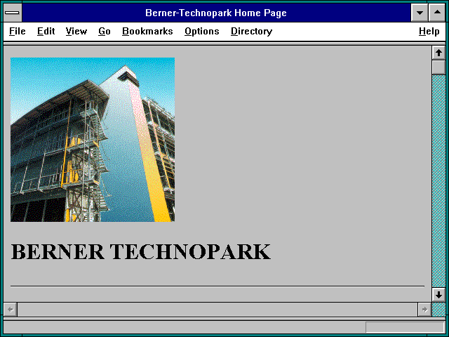 Screenshot of Berner-Technopark Home Page