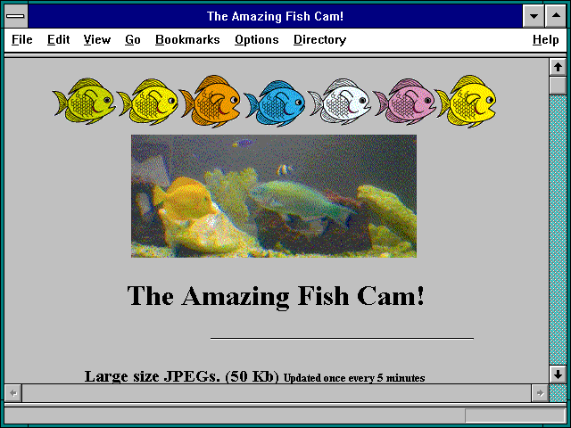 Screenshot of The Amazing Fish Cam!