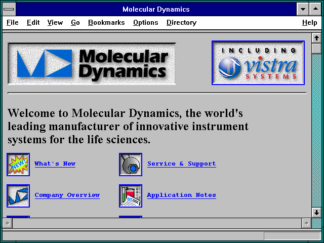 Screenshot of Molecular Dynamics