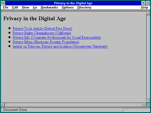 Screenshot of Privacy in the Digital Age