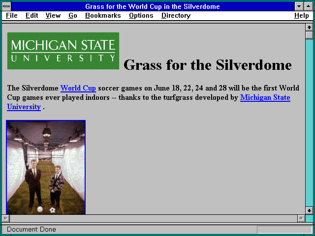 Screenshot of Grass for the World Cup in the Silverdome