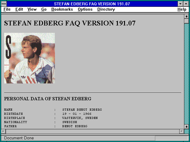 Screenshot of STEFAN EDBERG FAQ VERSION 191.07