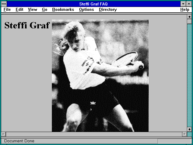 Screenshot of Steffi Graf FAQ