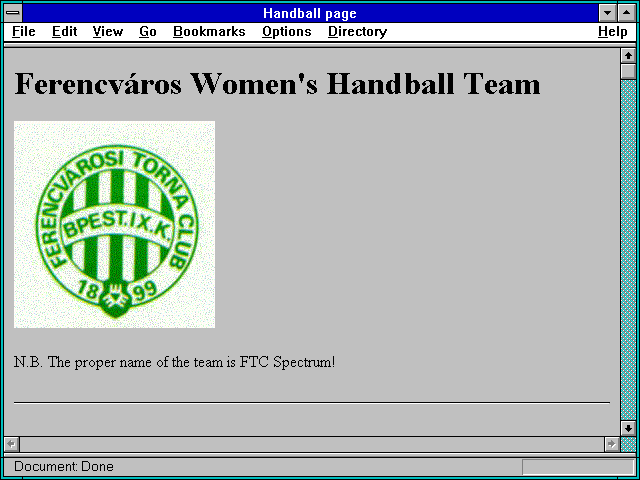Screenshot of Handball page