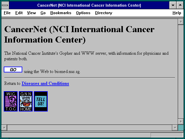Screenshot of CancerNet (NCI International Cancer Information Center)